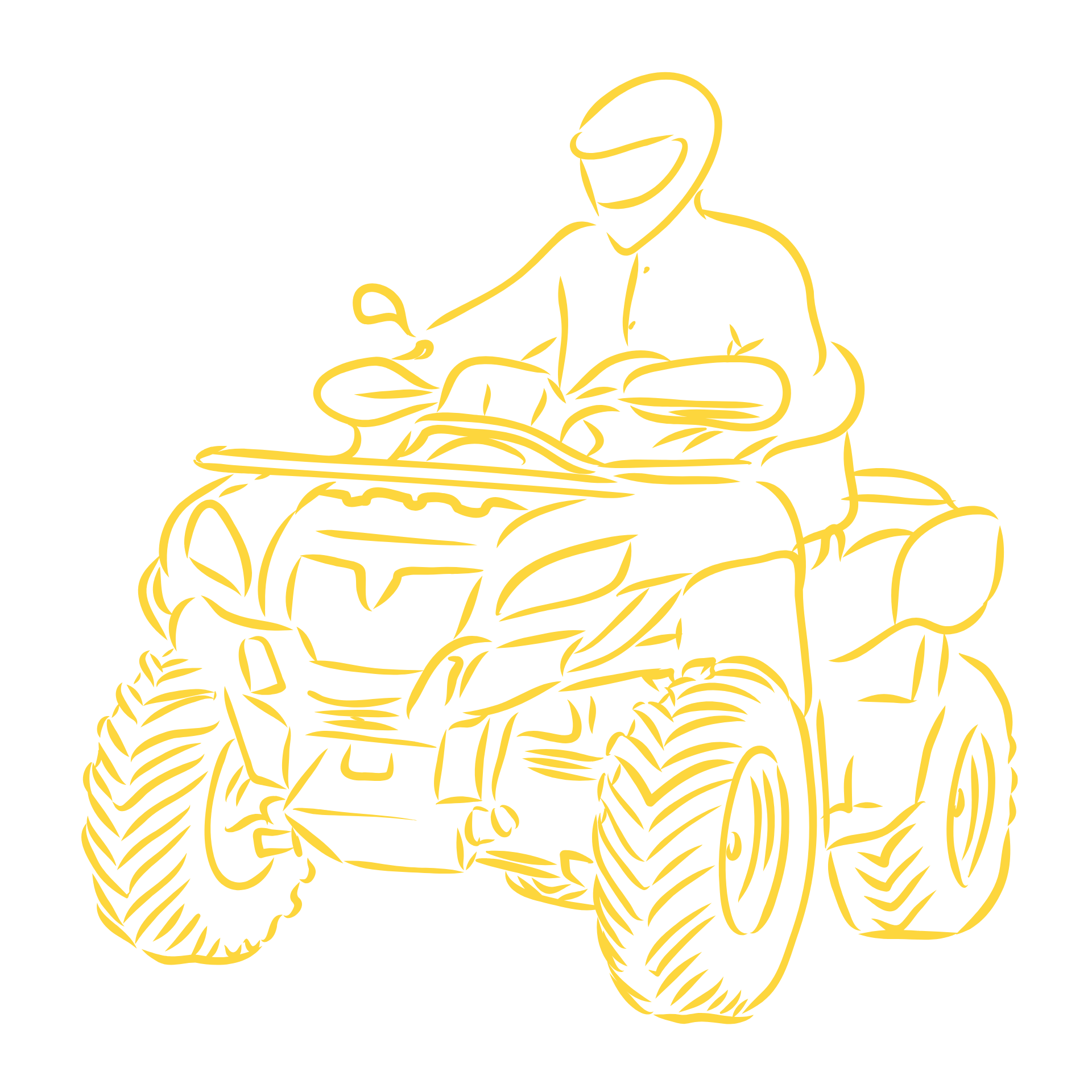 Quad d'occasion